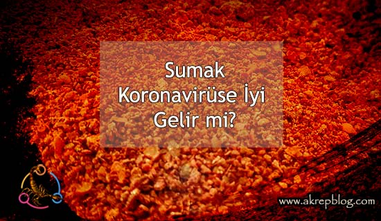 Sumak Koronavirüsüne İyi Gelir mi? Sumak Koronavirüse Karşı Kullanılabilir mi?