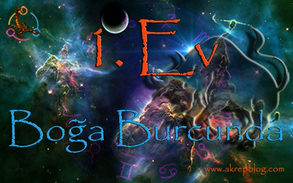 1. Ev Boğa Burcunda