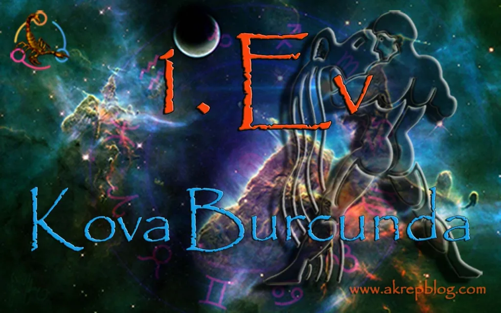 1. Ev Kova Burcunda