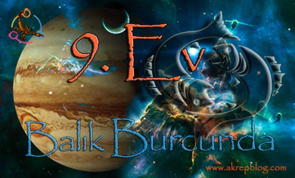 9. Ev Balık Burcu