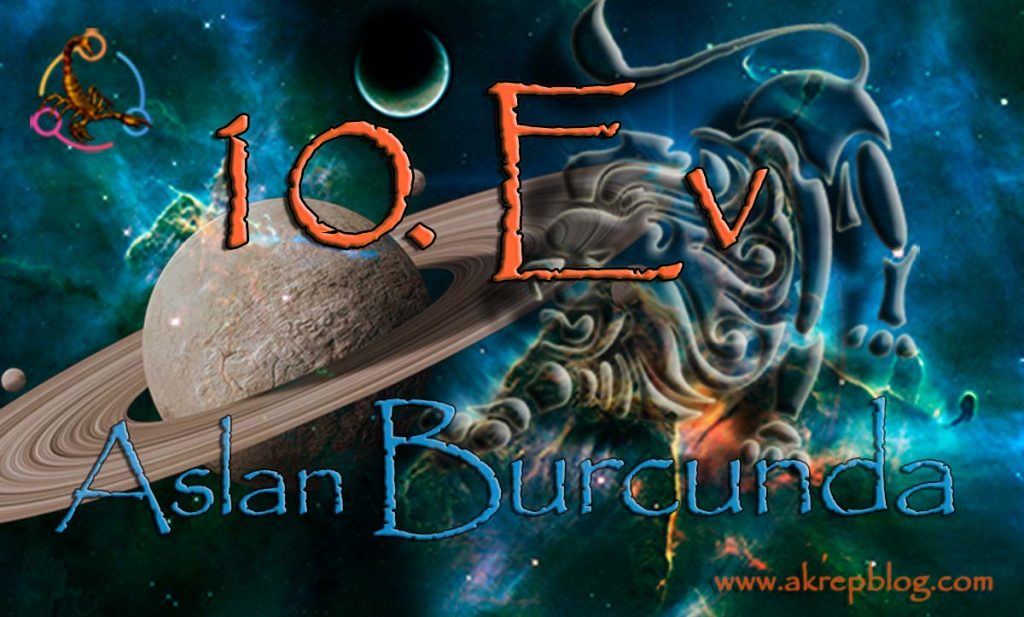 10. Ev Aslan Burcu