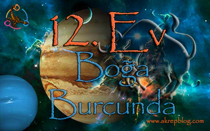 12. ev boğa burcu,12. evde boğa burcu, 12. Ev boğa Burcunda, boğa 12. evde, 12. ev boğa, 12. ev boğada nasıl etkiler? boğa burcu 12. evde