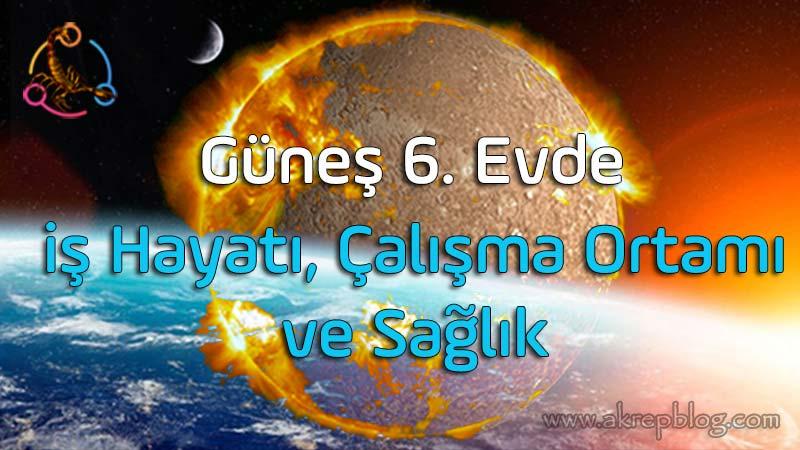 Güneş 6. Evde, 6. Evde Güneş, İş Hayatı, Çalışma Ortamı, ve Sağlık, Olumlu ve Olumsuz Açılar, Etkiler