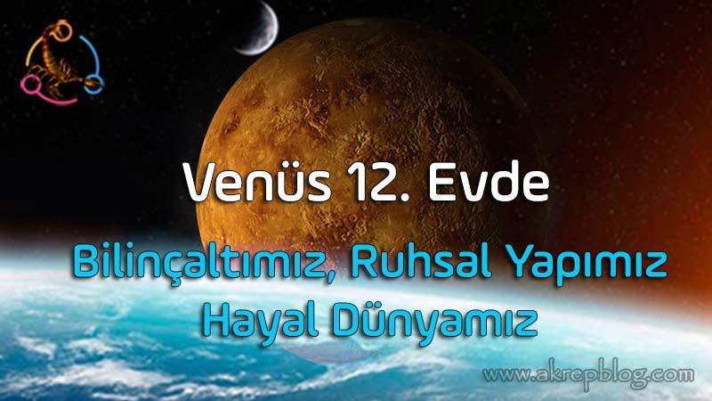 Venüs 12. Evde, 12. evde sevgi aşk, ilişkiler, bilinçaltımız, ruhsal yapımız, hayal dünyamız, olumlu ve olumsuz etkiler