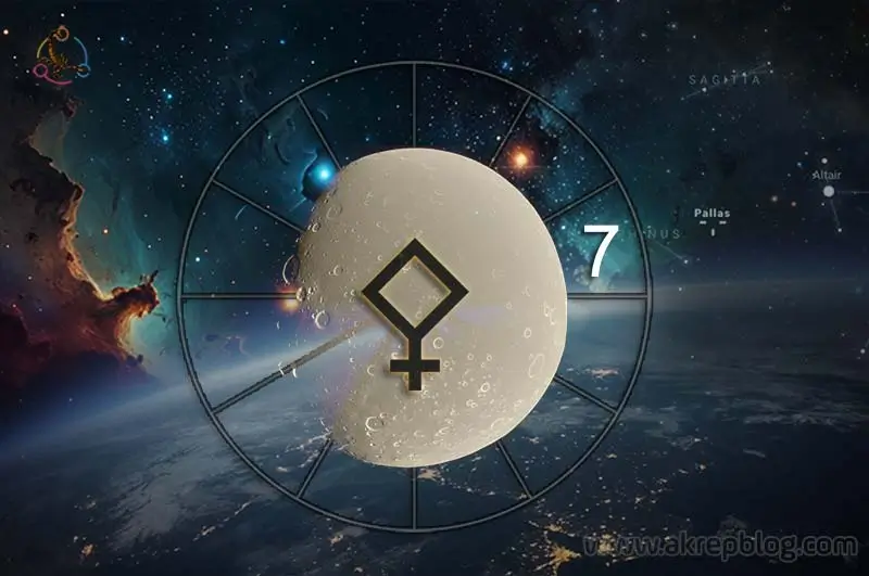 Pallas 7. Evde