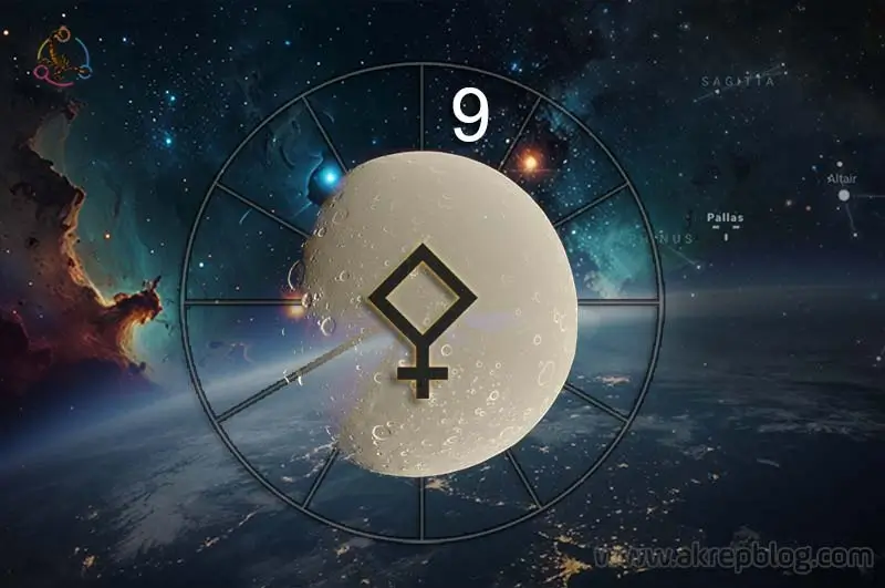Pallas 9. Evde
